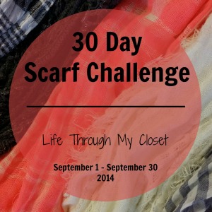 30 day challenge 2014